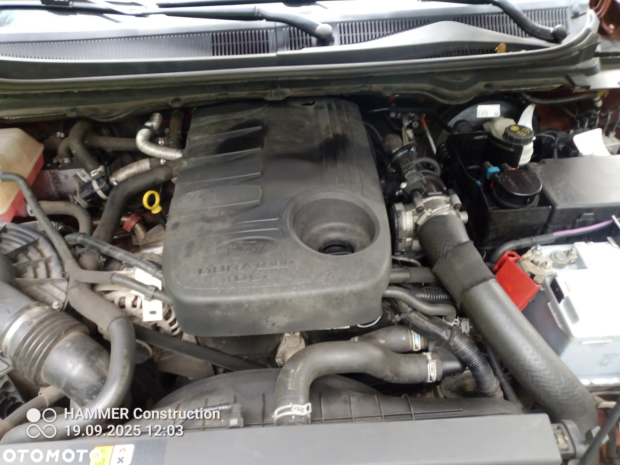 Ford Ranger Autm Wildtrak - 18