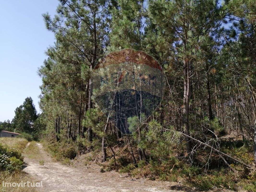 Terreno  para venda - Grande imagem: 4/9