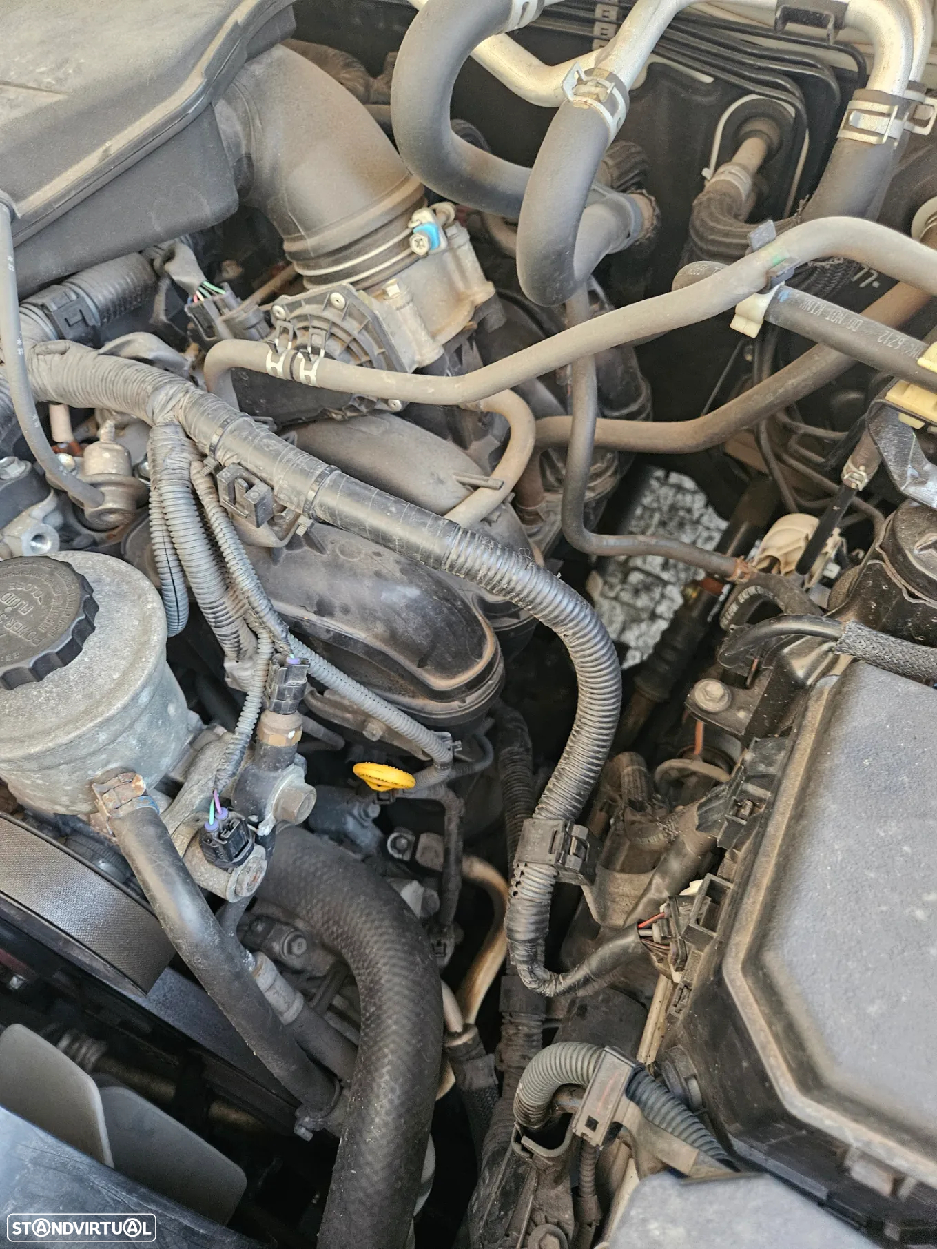Toyota Land Cruiser - 21