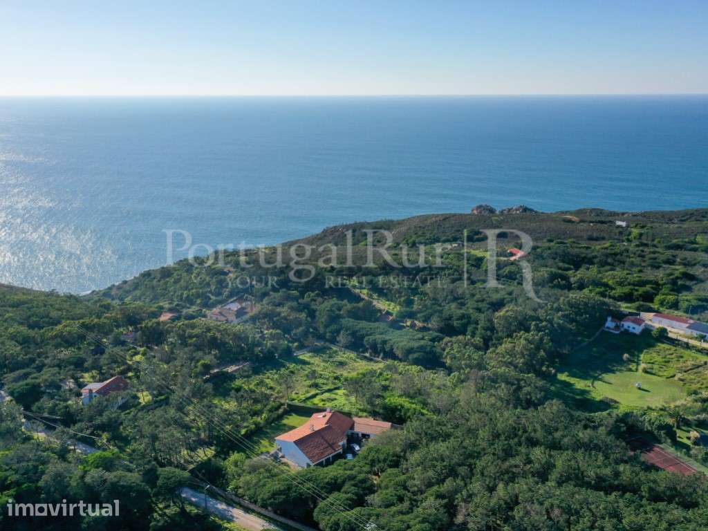 Quintinha com vista mar na região de Colares - Sintra - Grande imagem: 2/31