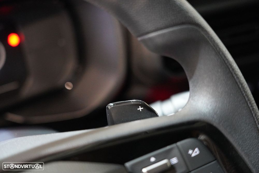 Fiat Doblo 1.5 BlueHDi Maxi EAT8 - 33