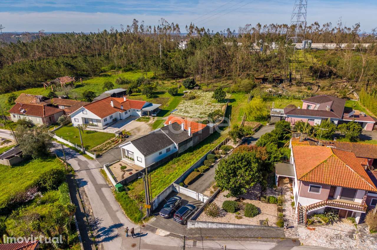 Terreno rústico – Souto da Carpalhosa - Grande imagem: 5/23