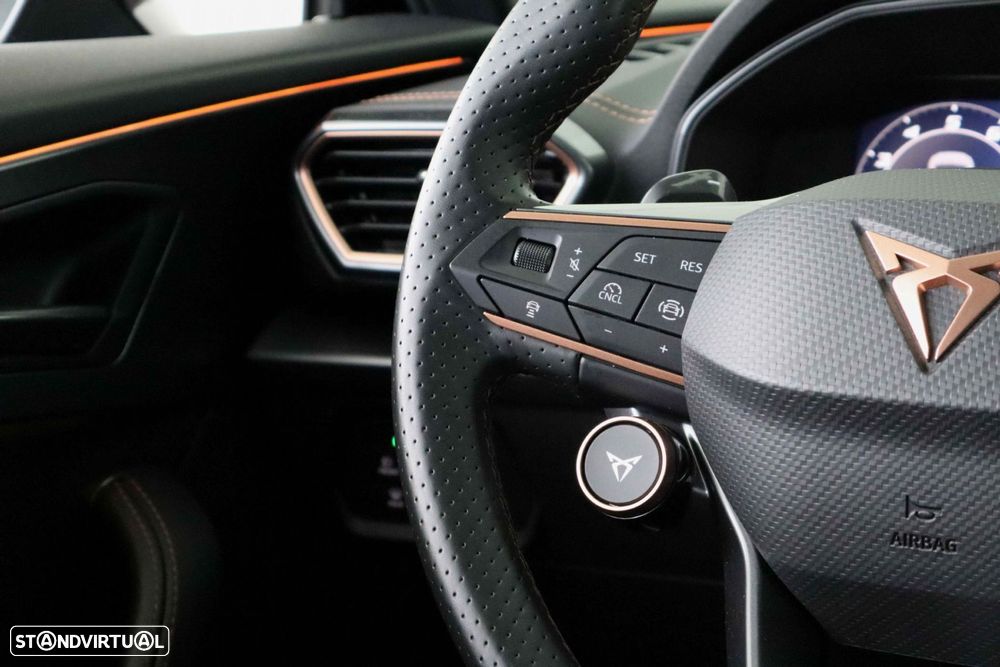 Cupra Formentor 1.5 TSI DSG - 17