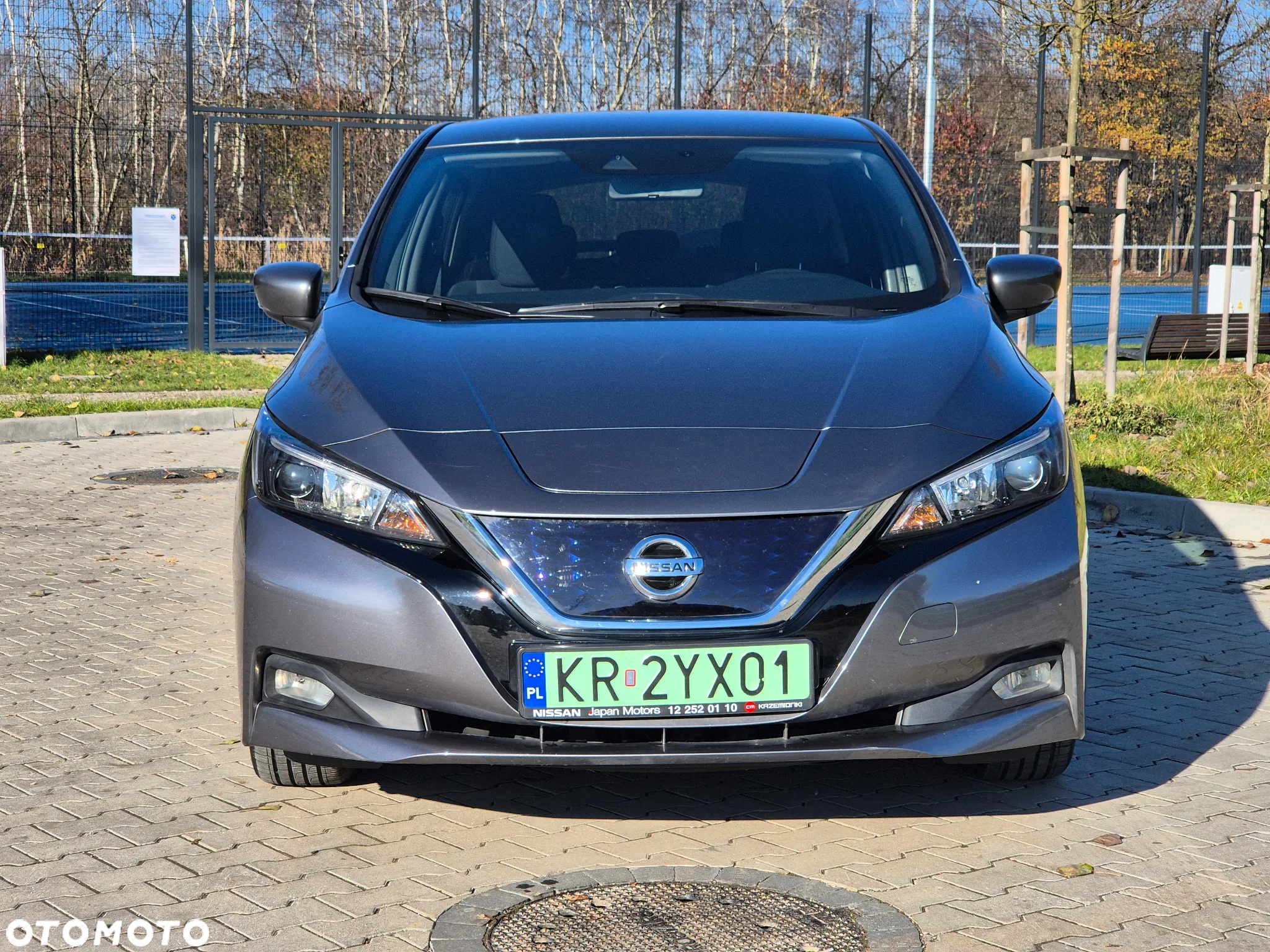 Nissan Leaf 40kWh Acenta - 2