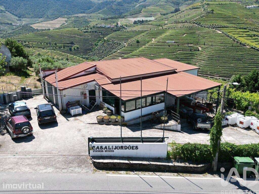 Hangar em Ervedosa do Douro de 841,00 m2 - Grande imagem: 2/24