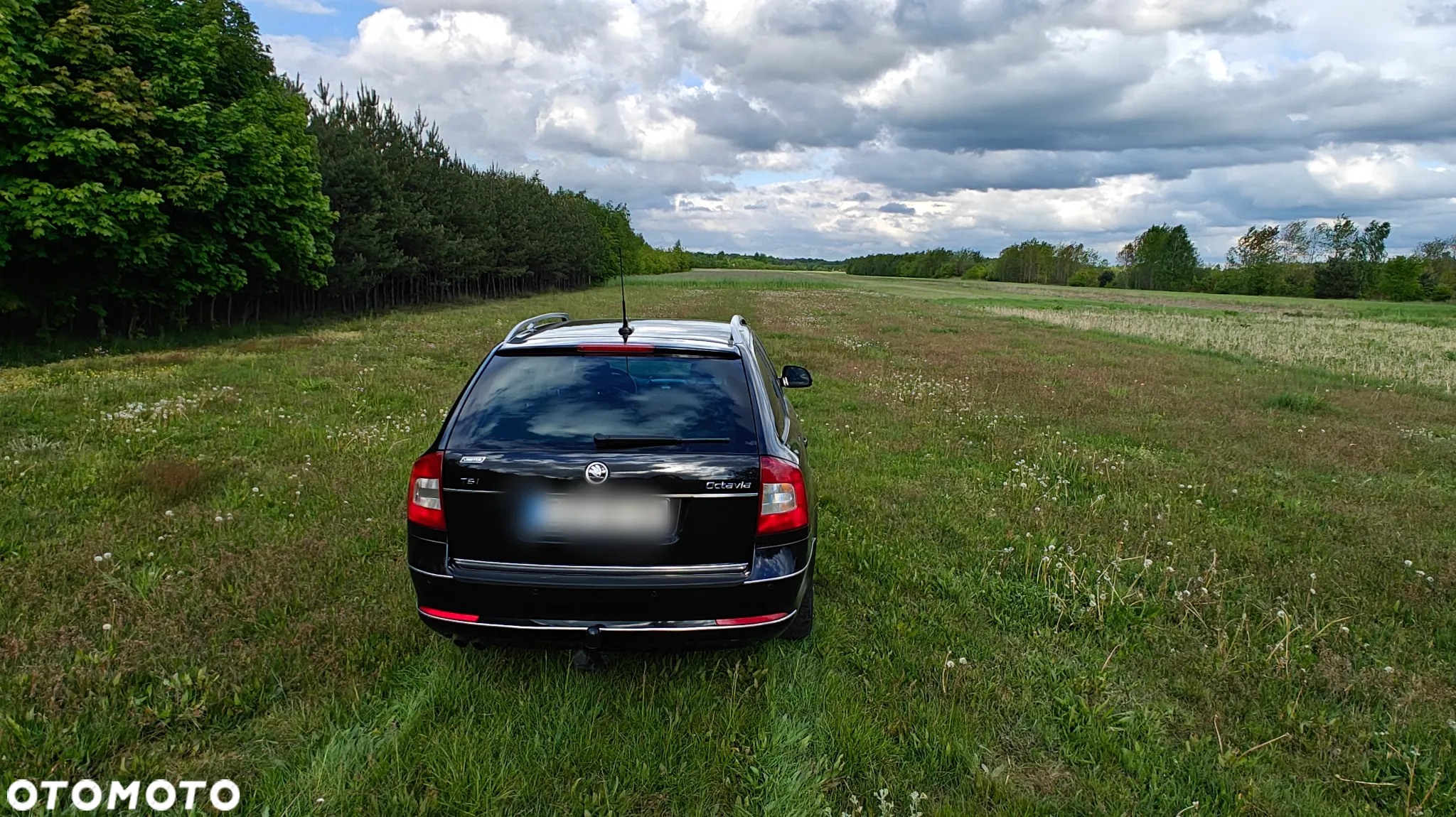 Skoda Octavia 1.4 TSI Elegance - 6