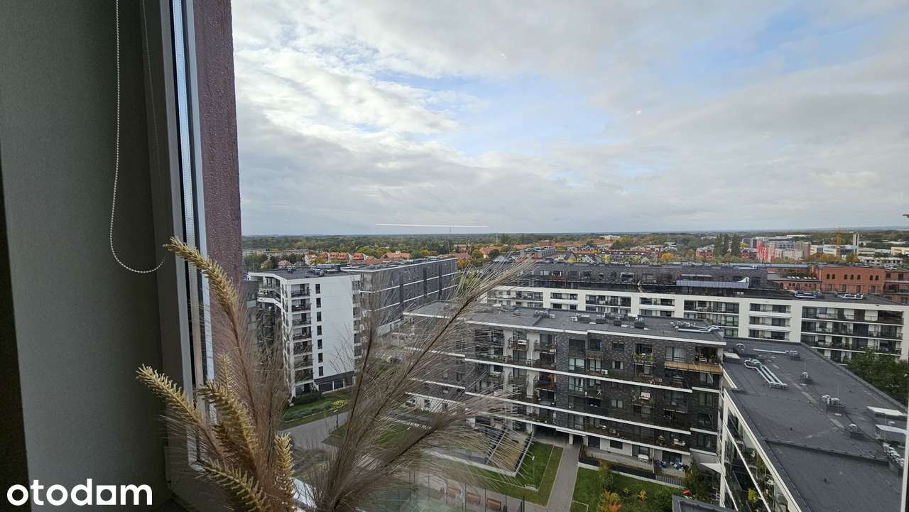 Niski czynsz, blisko tramwaj, z widokiem na panoramę Zaułek Rogoziński