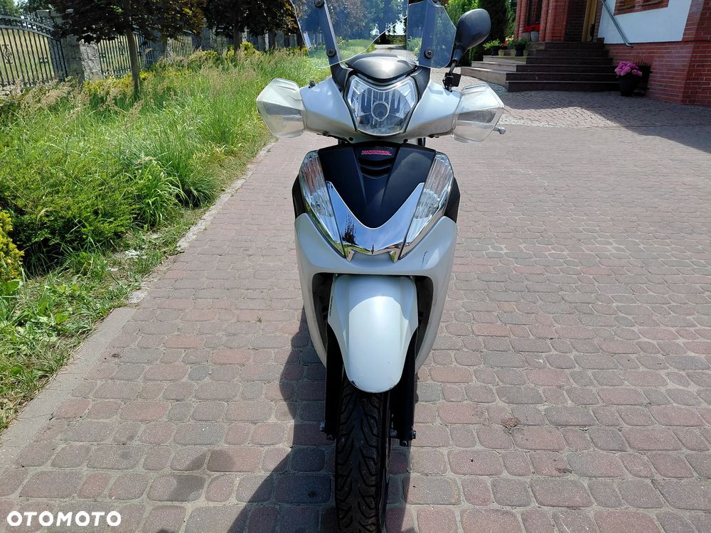 Honda SH - 8