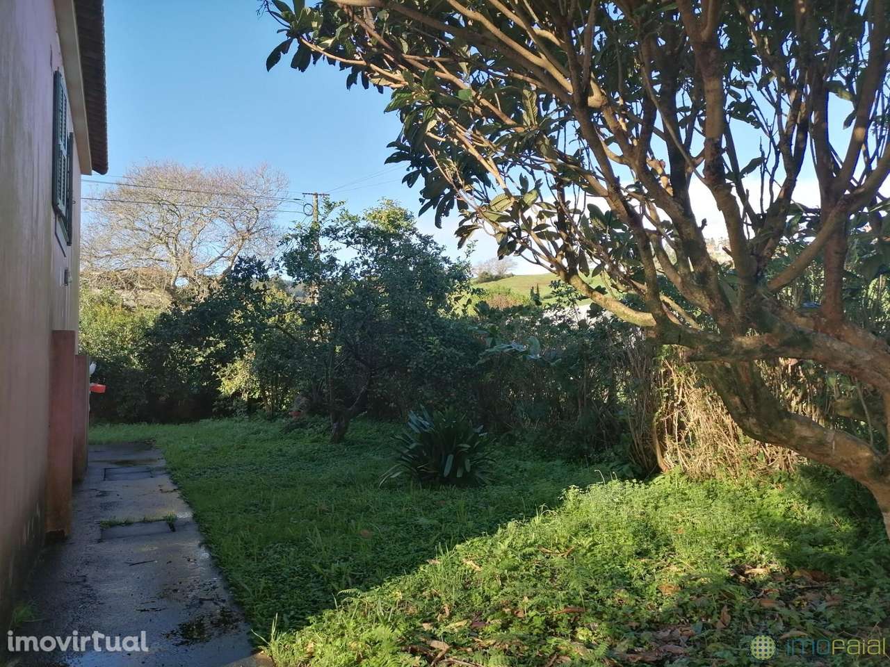 T3 c/Marquise| Flamengos - Grande imagem: 5/43