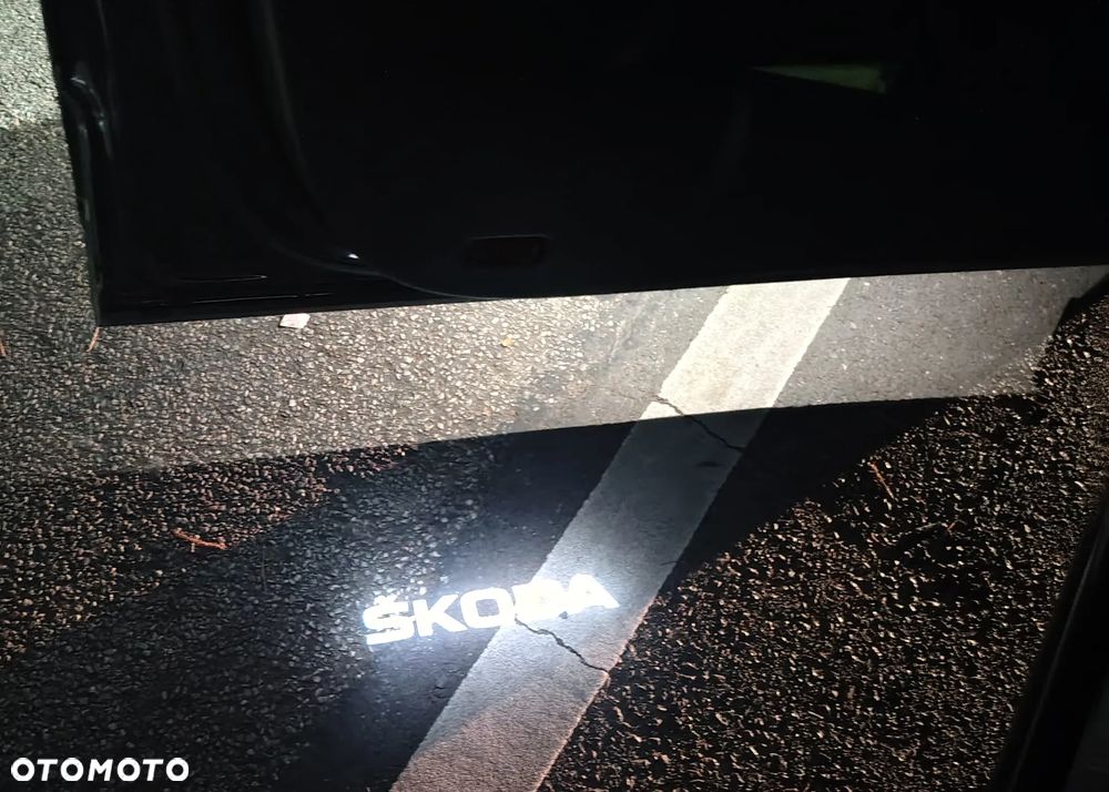 Skoda Karoq 2.0 TDI SCR 4x4 Sportline DSG - 4