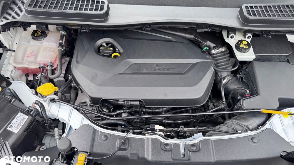 Ford Kuga 1.6 EcoBoost 2x4 Trend - 32