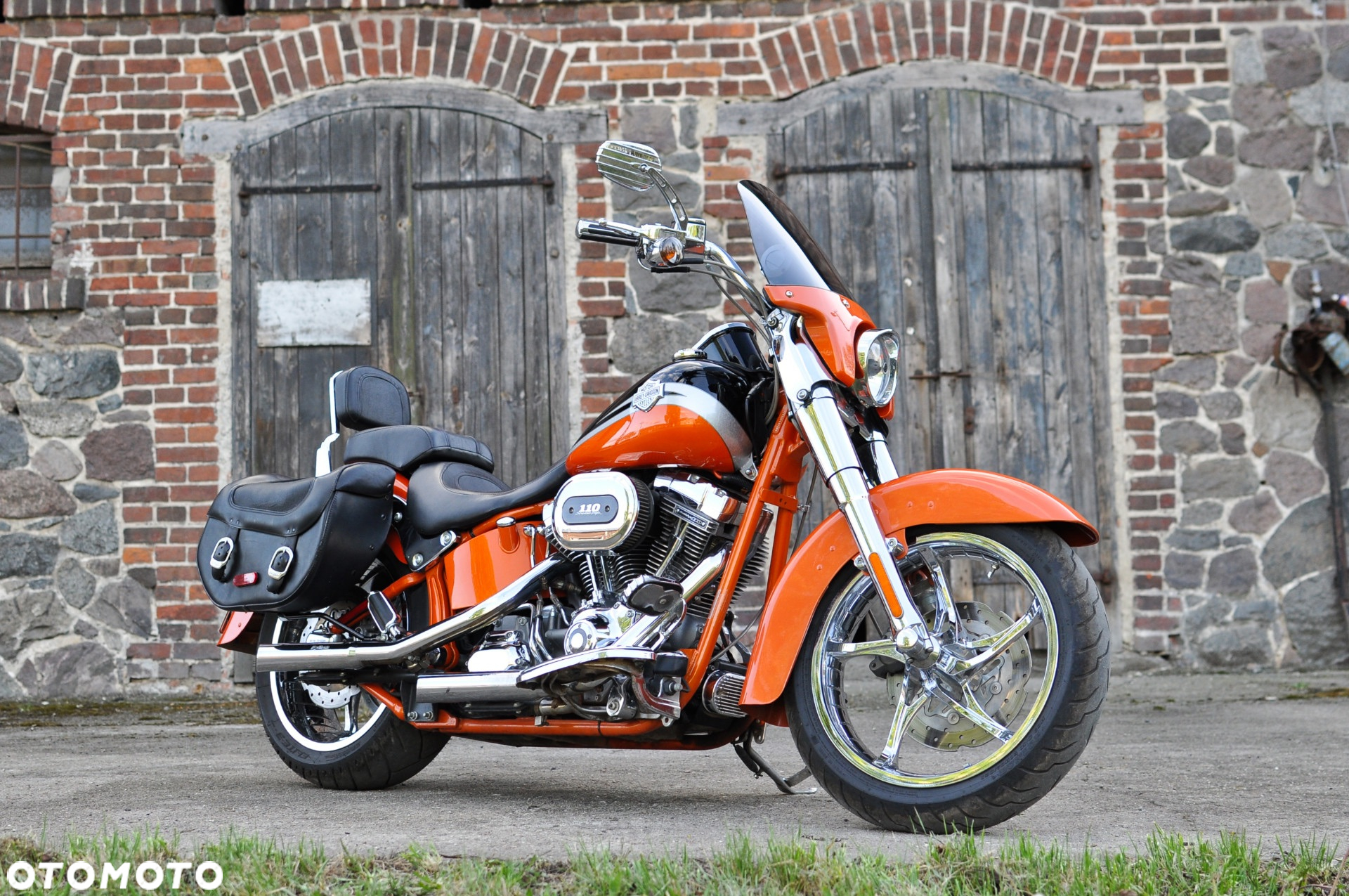Harley-Davidson Softail - 6