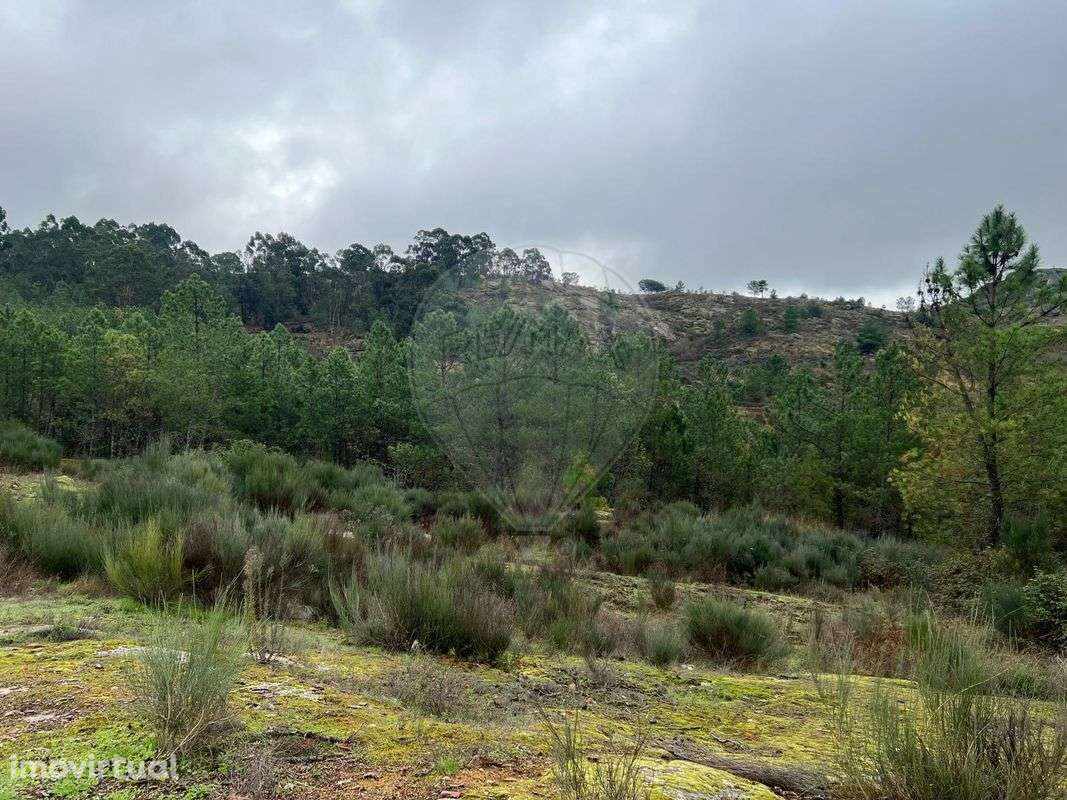 Terreno  para venda - Grande imagem: 3/7