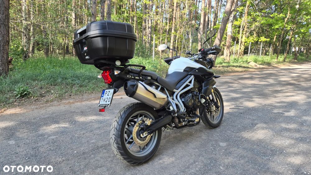 Triumph Tiger - 5