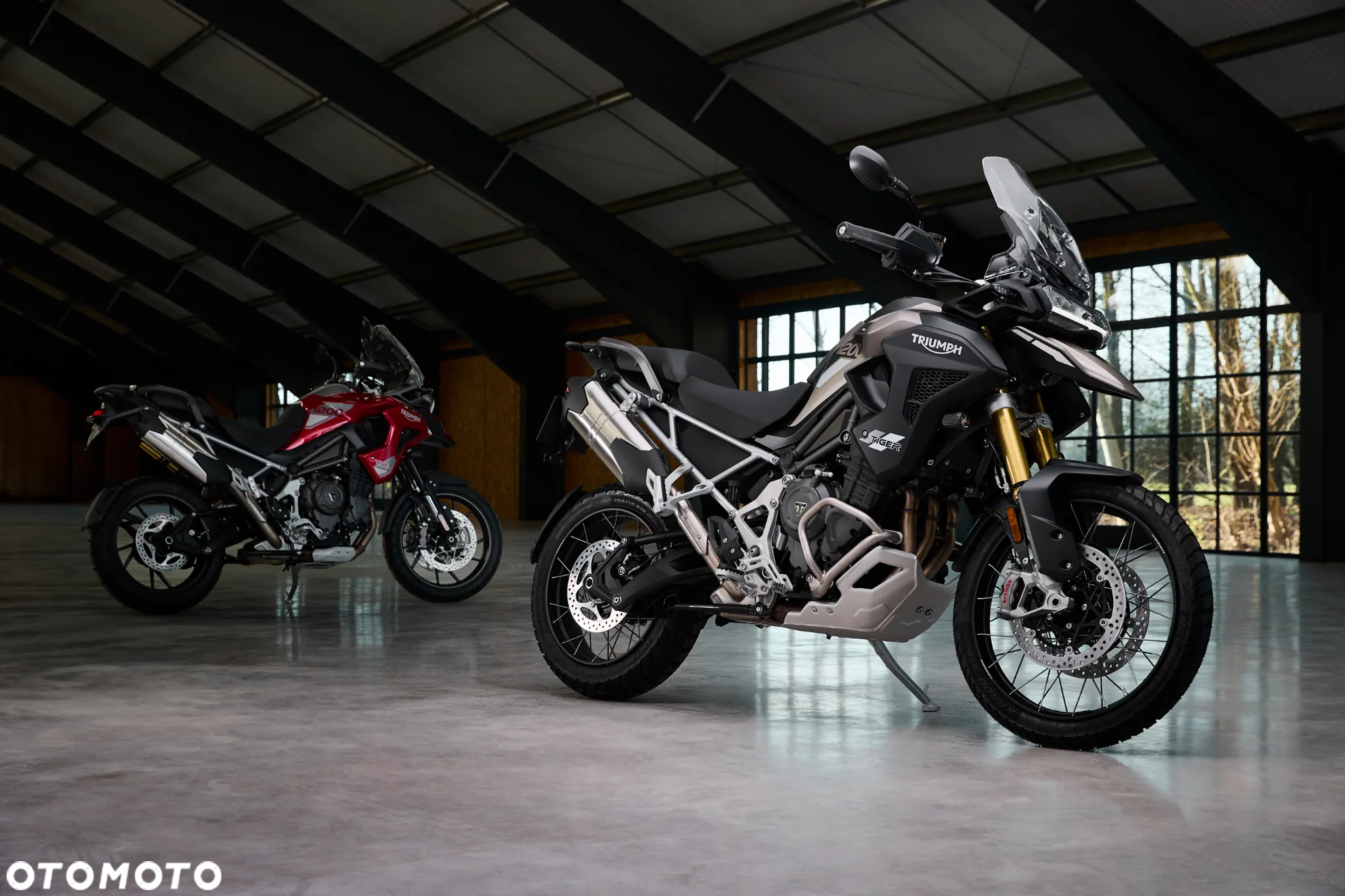 Triumph Tiger