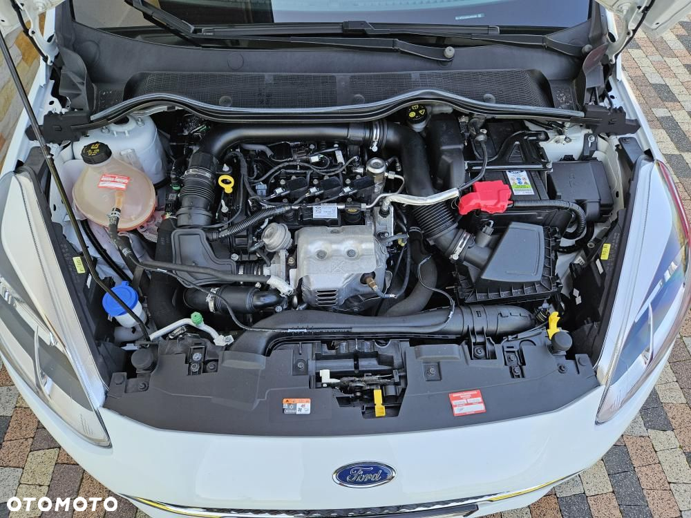 Ford Fiesta - 33