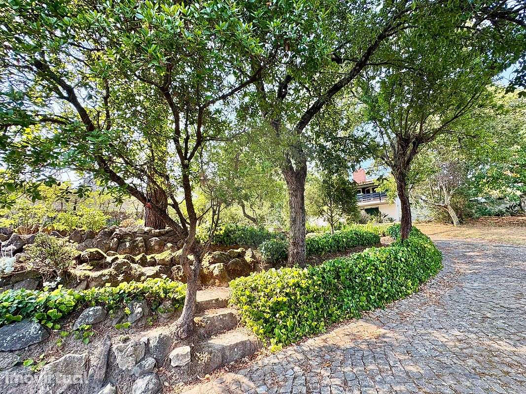 Moradia T5 para venda - Grande imagem: 3/26