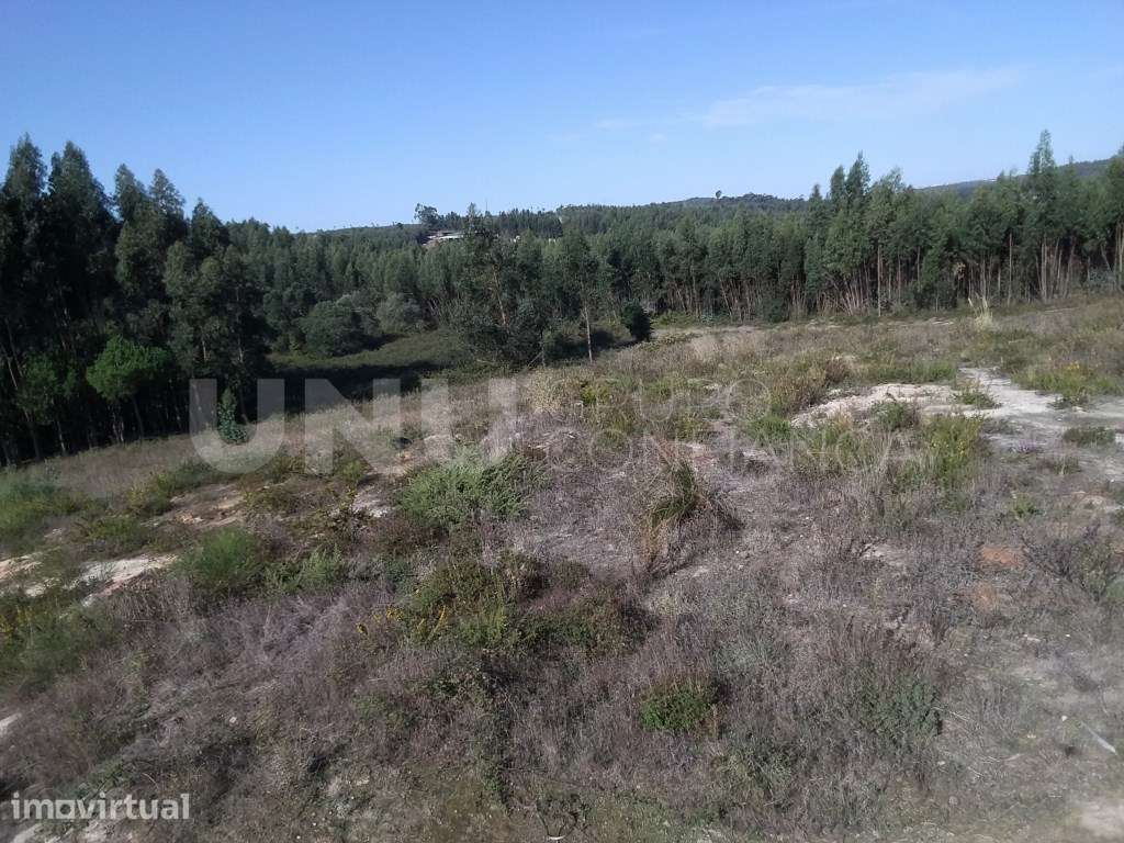 Terreno para construção em Ameal, Torres Vedras - Grande imagem: 2/11