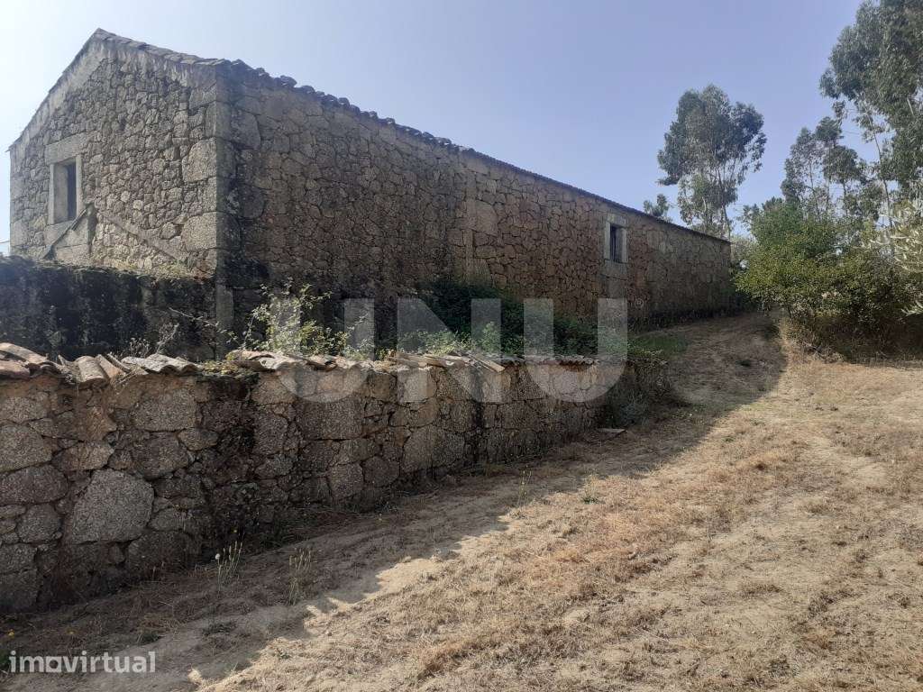 Quinta com 2,5 hectares - Grande imagem: 3/48