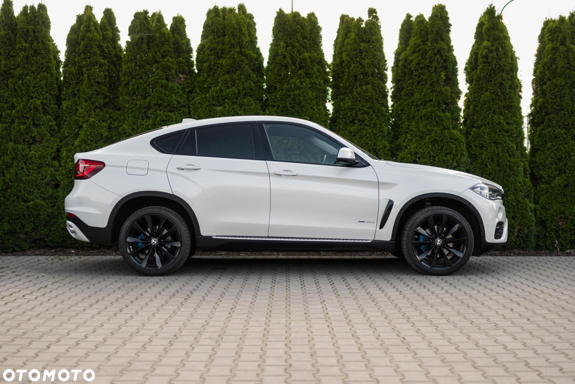 BMW X6 - 8