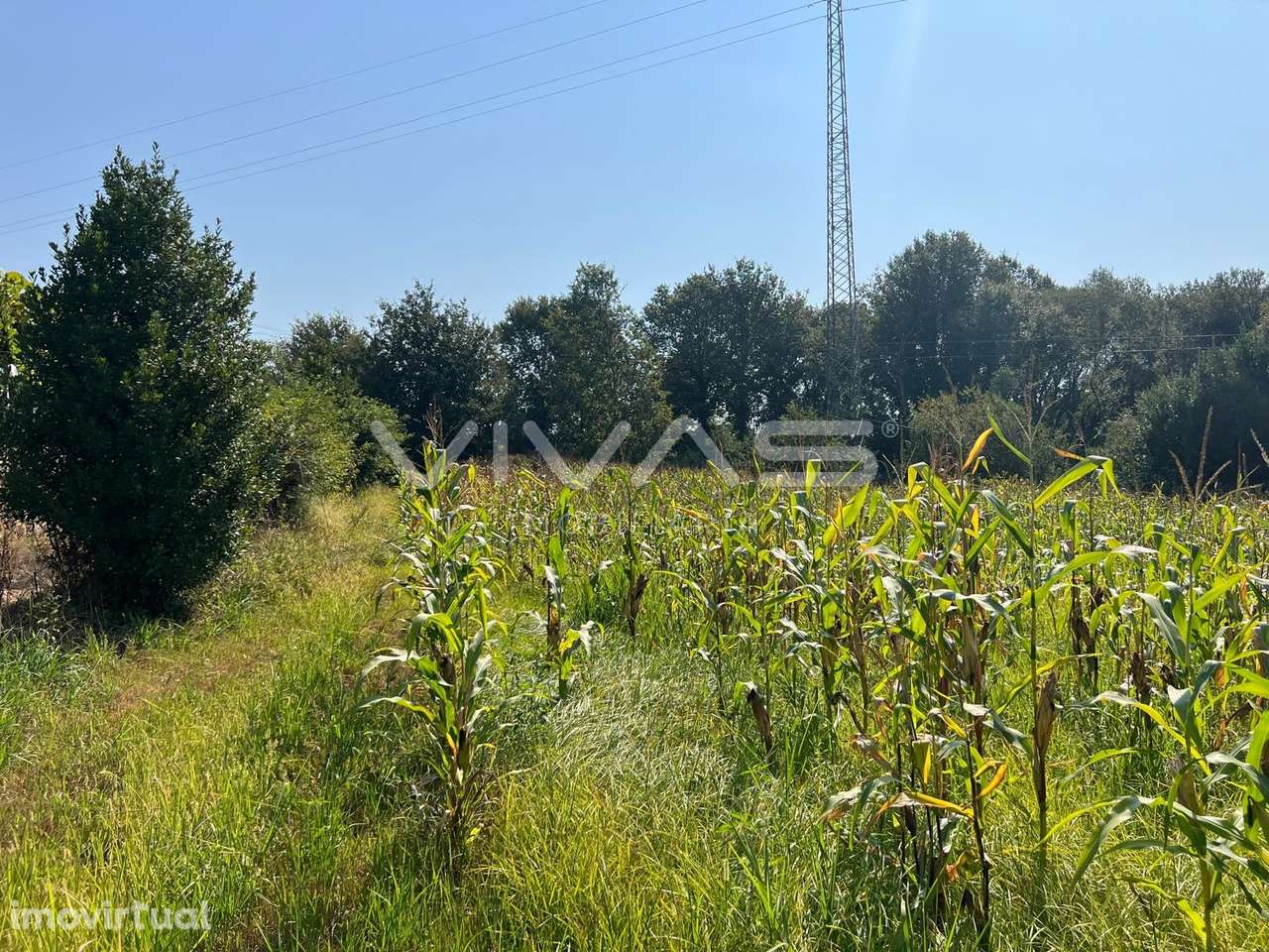 Terreno Rústico  Venda em Oleiros,Vila Verde - Grande imagem: 3/5