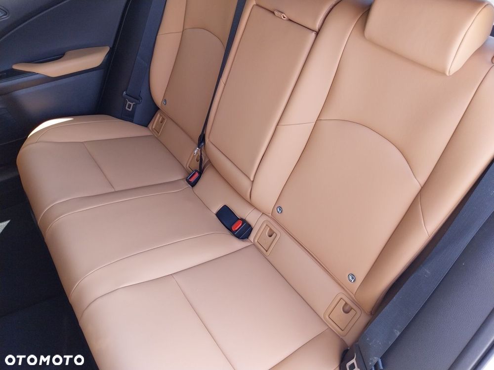 Lexus UX 300h F Sport Design - 14