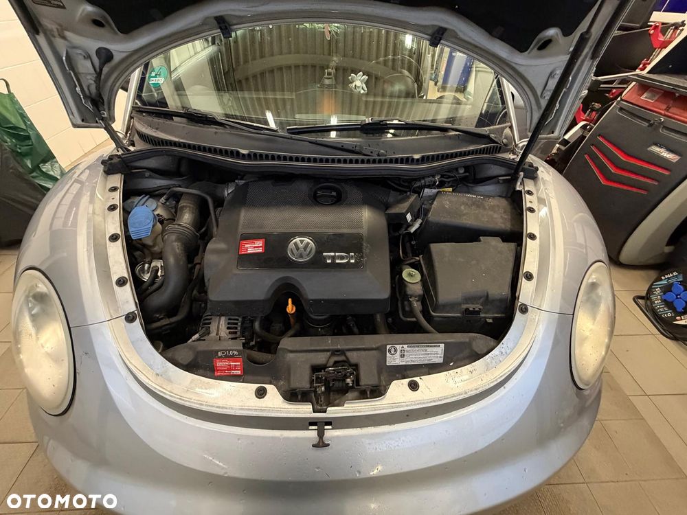 Volkswagen New Beetle - 18