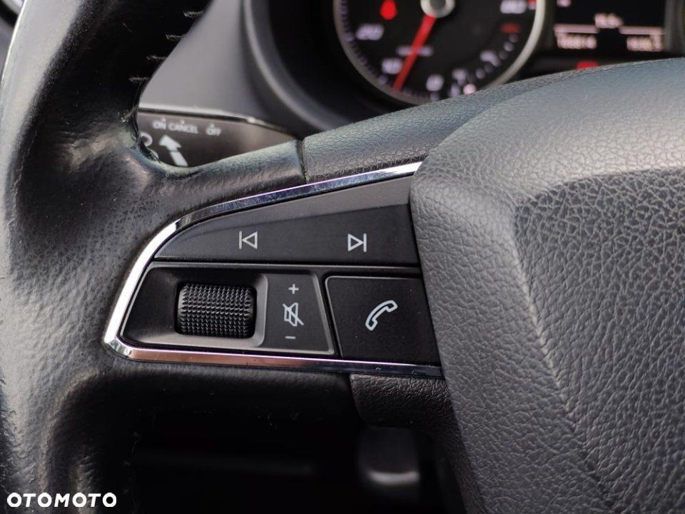 Seat Ibiza - 19
