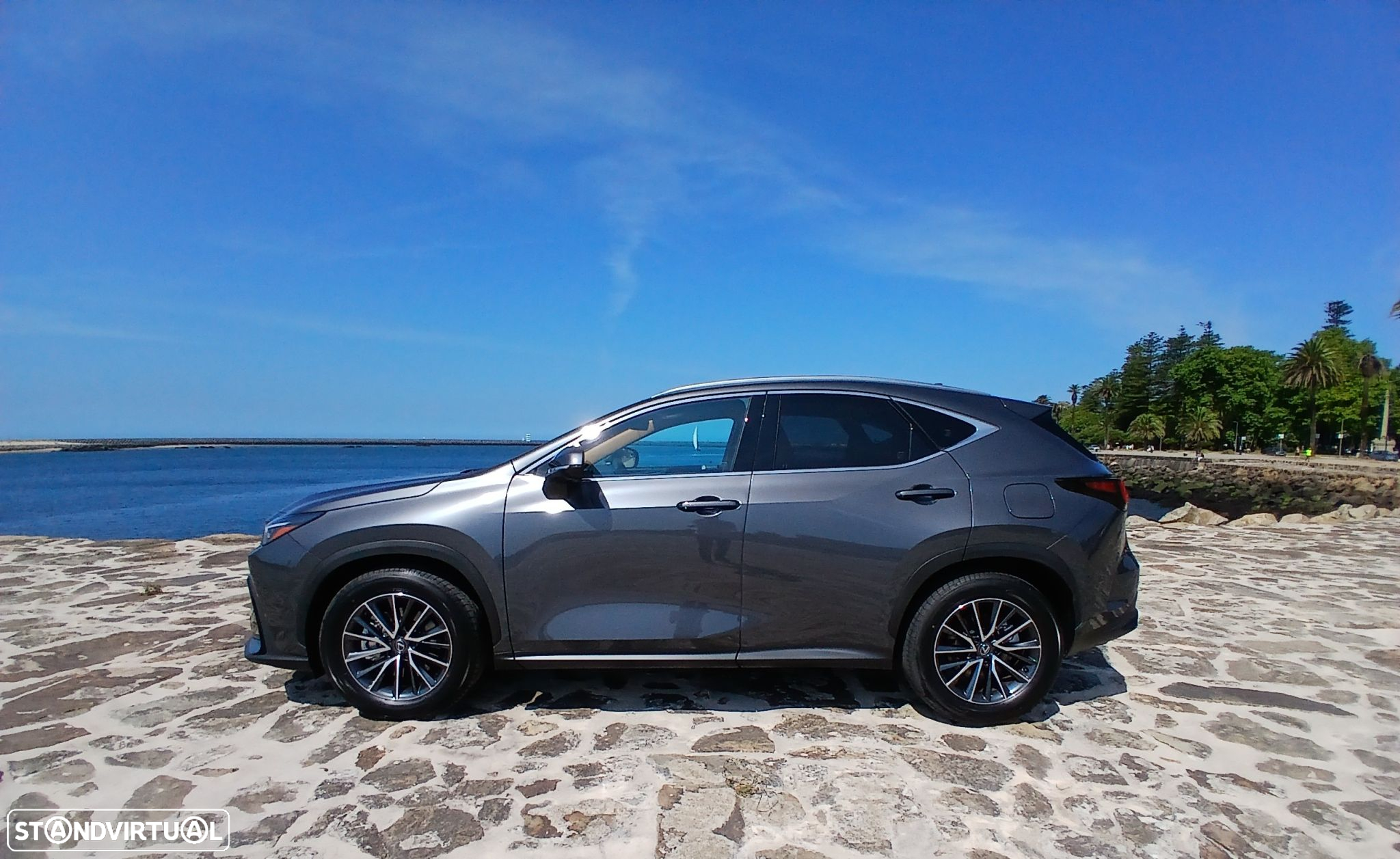 Lexus NX 450h+ - 2
