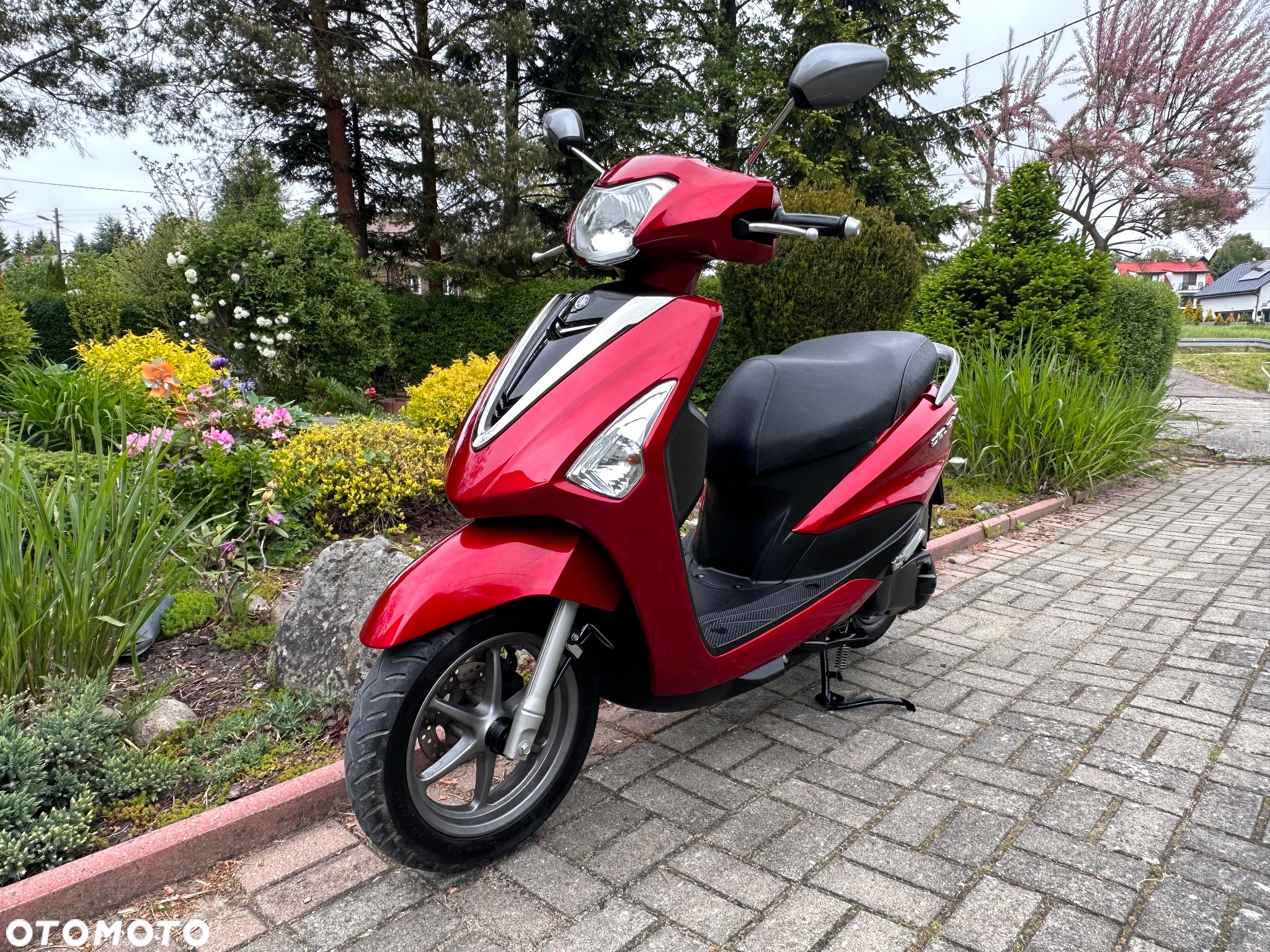 Yamaha D'elight - 6
