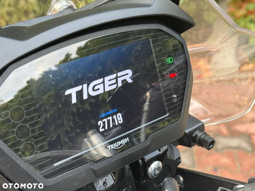 Triumph Tiger - 6