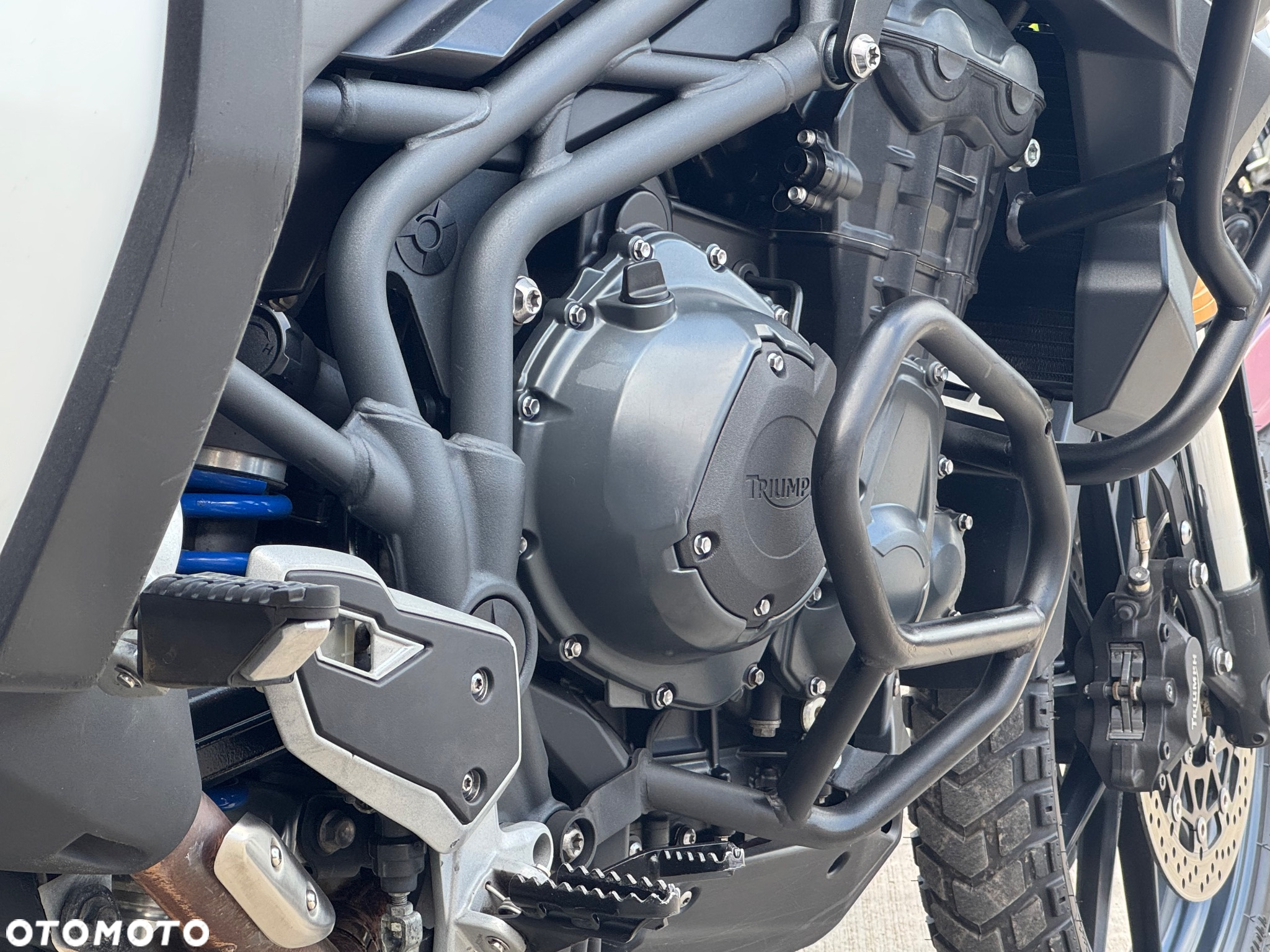 Triumph Tiger - 11