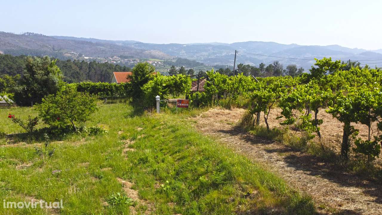 Moradia para Restauro Telões Amarante - Grande imagem: 4/26