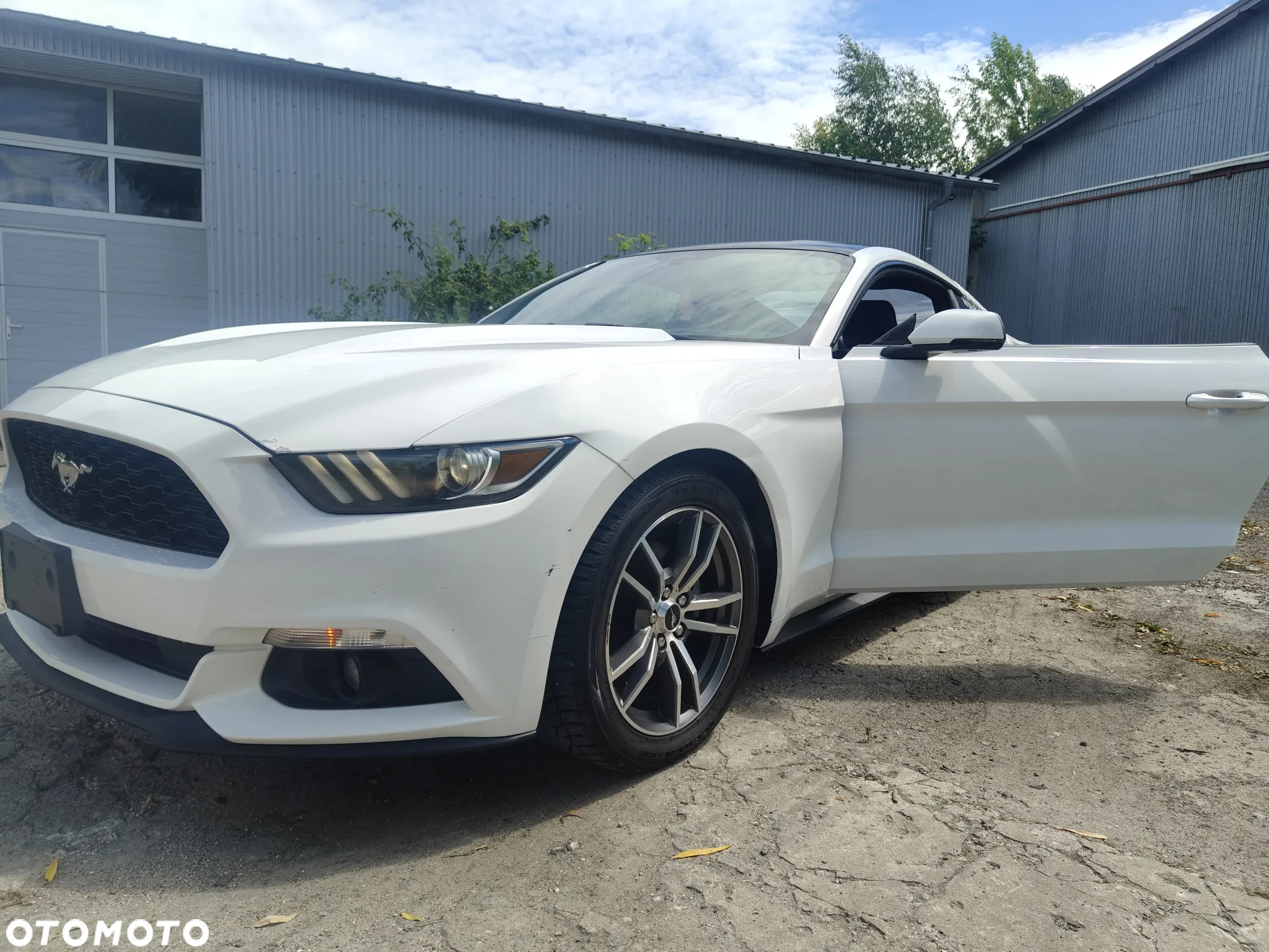 Ford Mustang 2.3 Eco Boost - 14