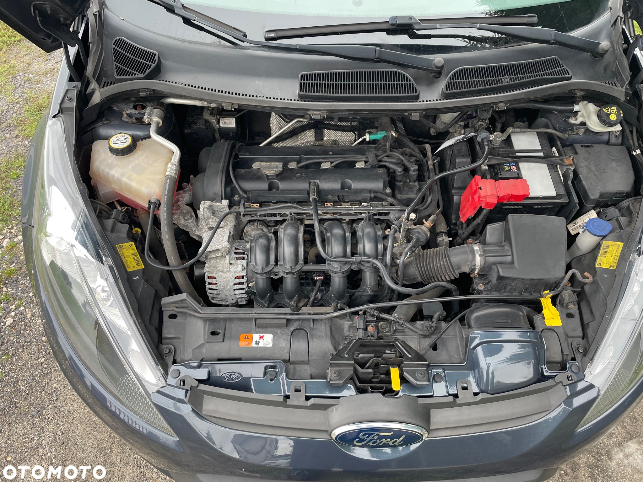 Ford Fiesta - 6