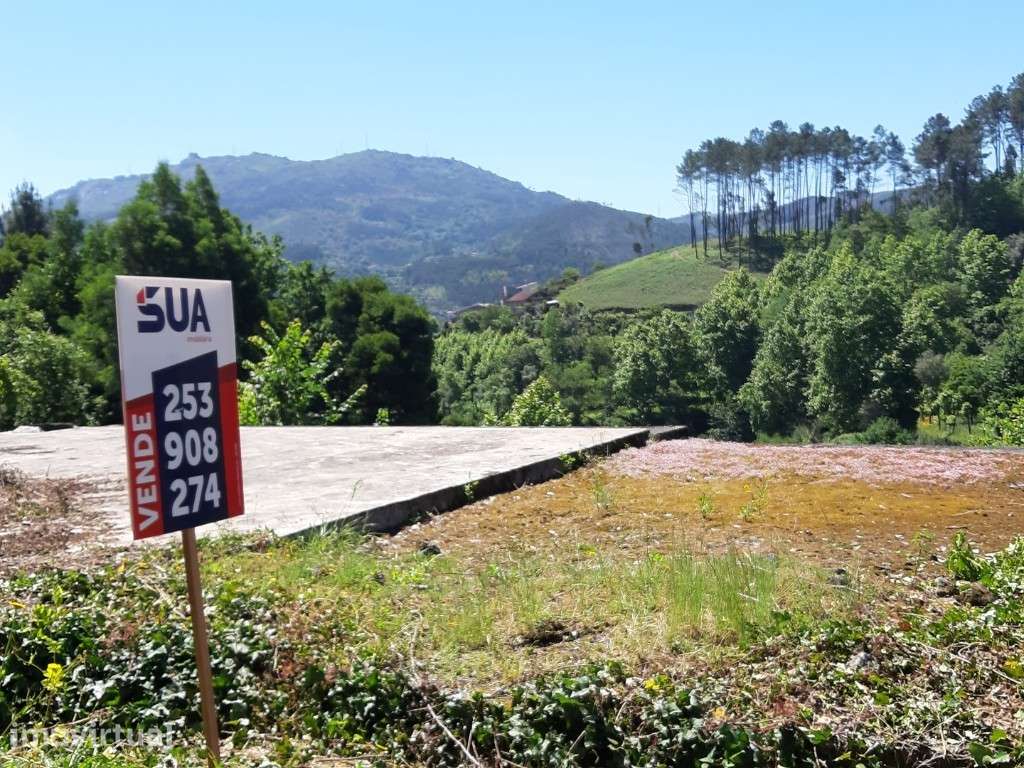 Terreno Agrícola - Bouro Sta Maria - Grande imagem: 3/10