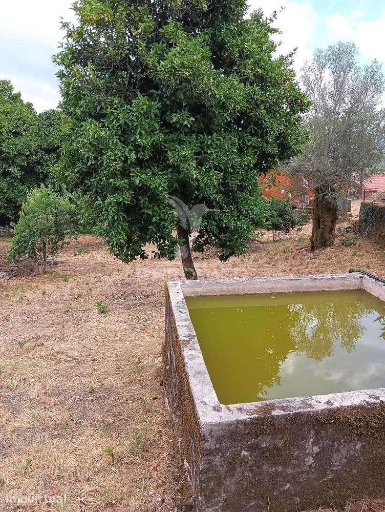 Casa Rústica em meio rural - Grande imagem: 4/19