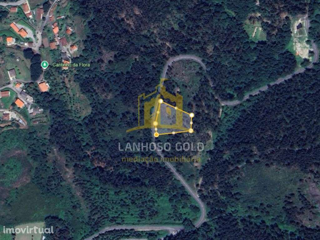 Terreno Florestal com 23.876 m² em Garfe - Oportunidade de Investim... - Grande imagem: 2/2