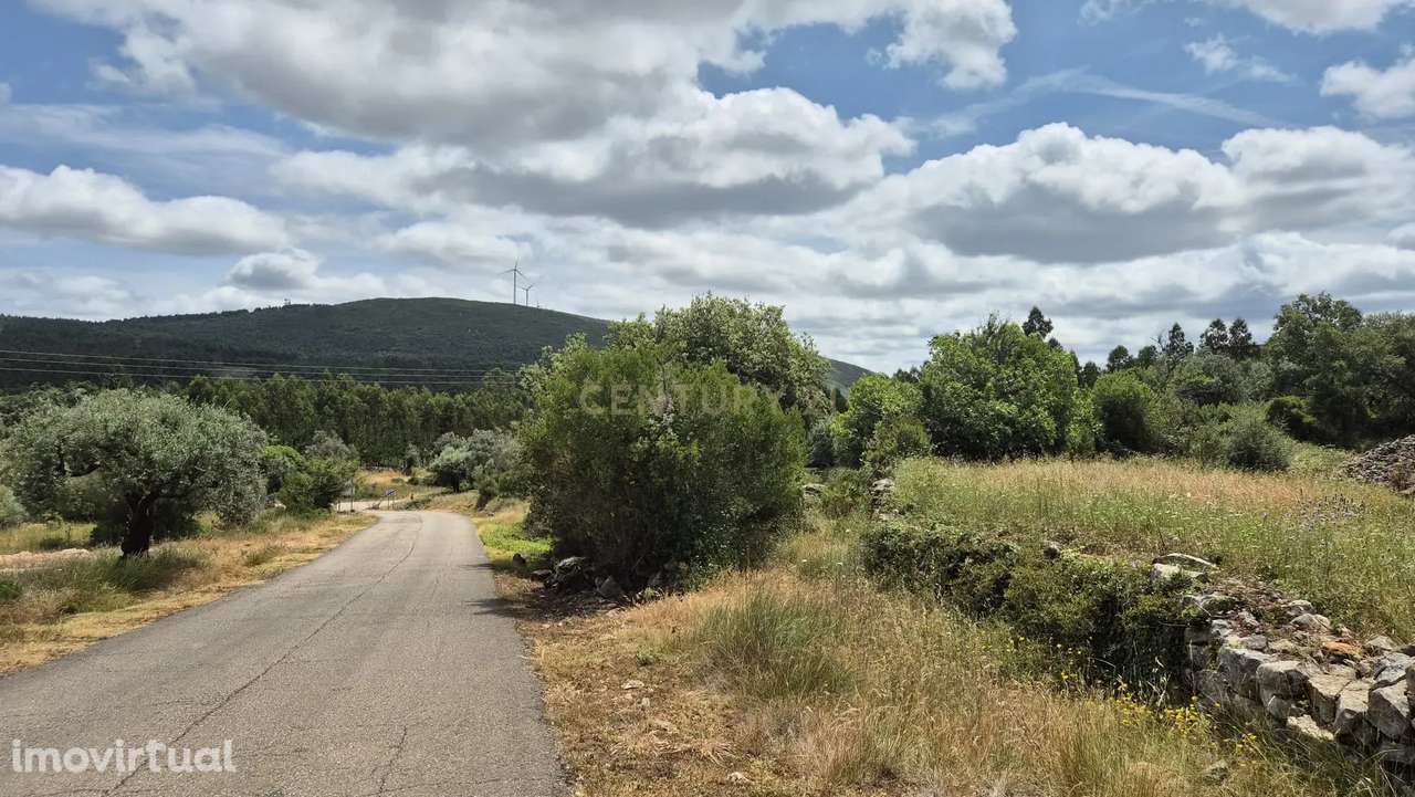 Terreno com 3.610 m² – Potencial e Natureza na Serra de Sicó - Grande imagem: 3/10
