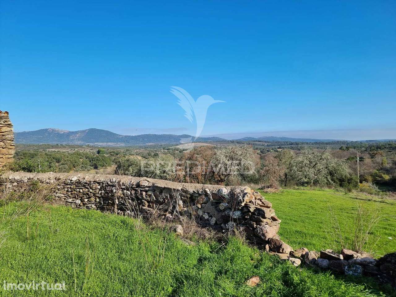 TERRENO URBANO COM VISTA PARA A SERRA - Grande imagem: 4/12