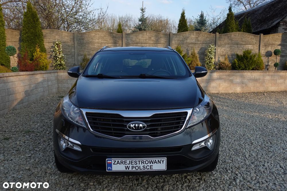 Kia Sportage - 15