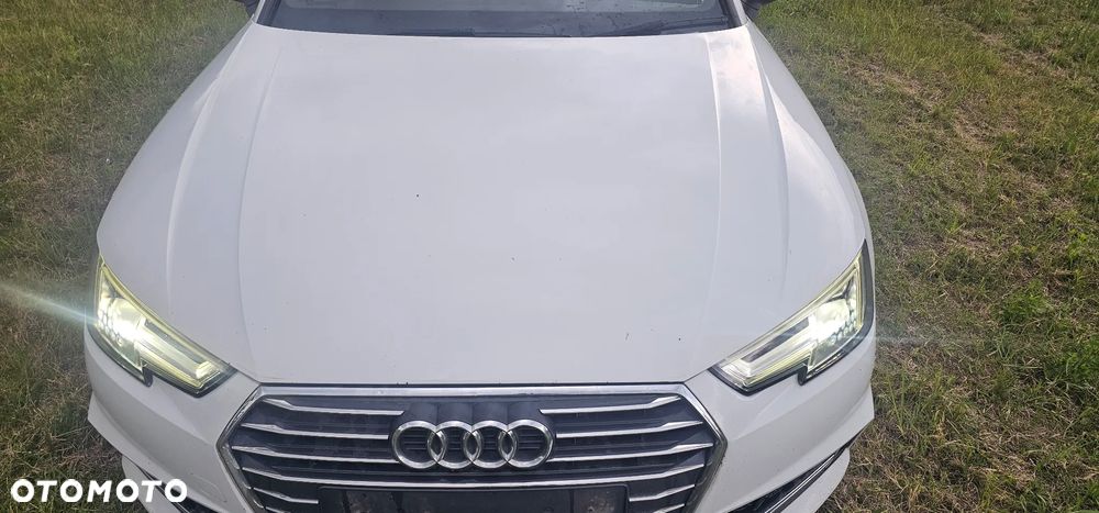 Audi A4 b9 8W 16-23 kod lakieru LS9R SILNIK 2.0TDI DETA Wszystkie części potrzebujesz czegoś dzwoń - 3