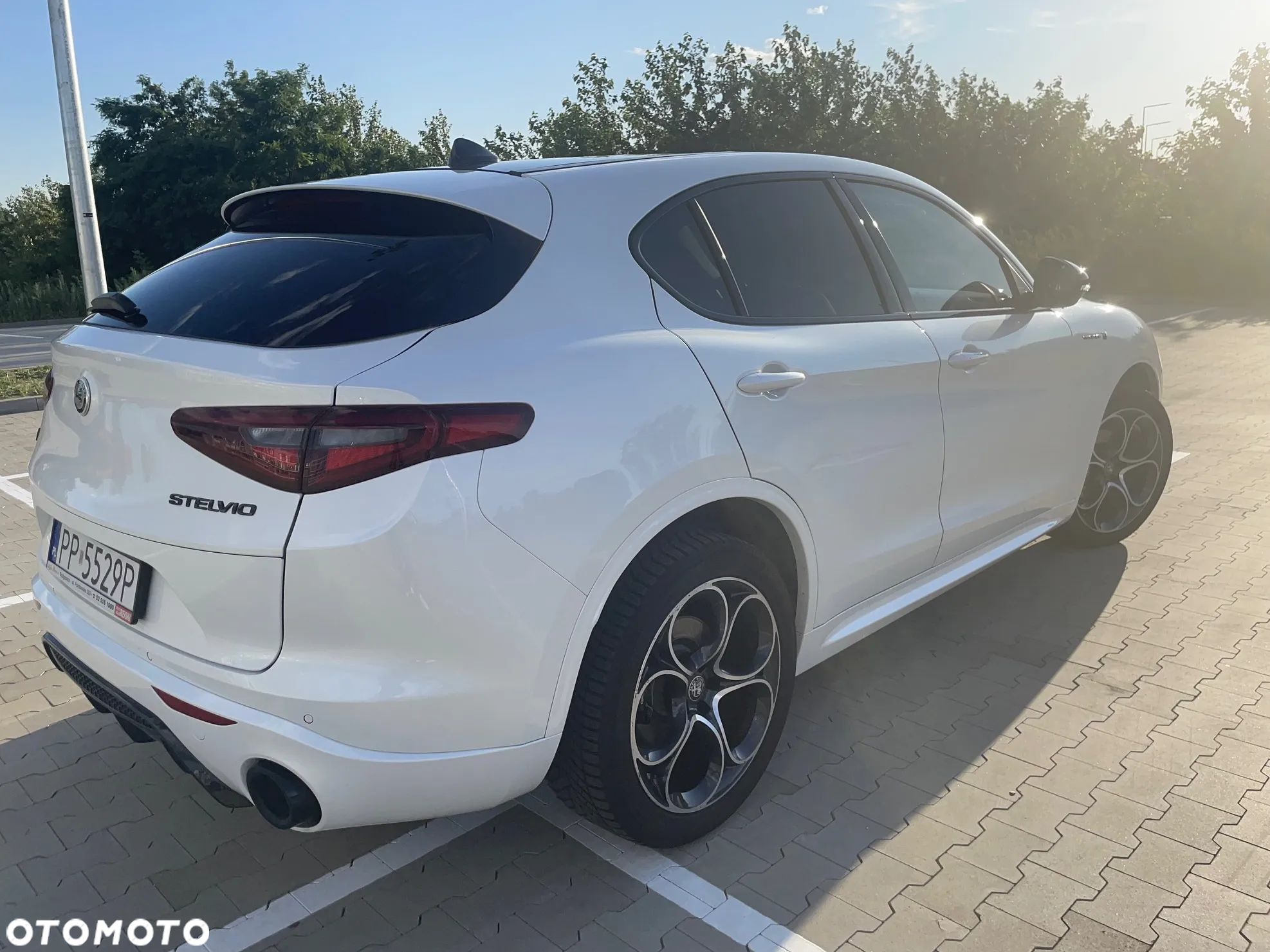 Alfa Romeo Stelvio 2.0 Turbo Veloce TI Q4 - 1