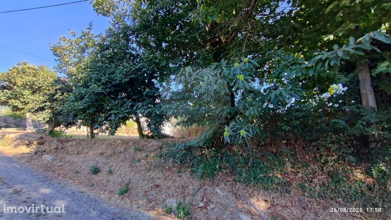 Terreno  para venda - Grande imagem: 3/5