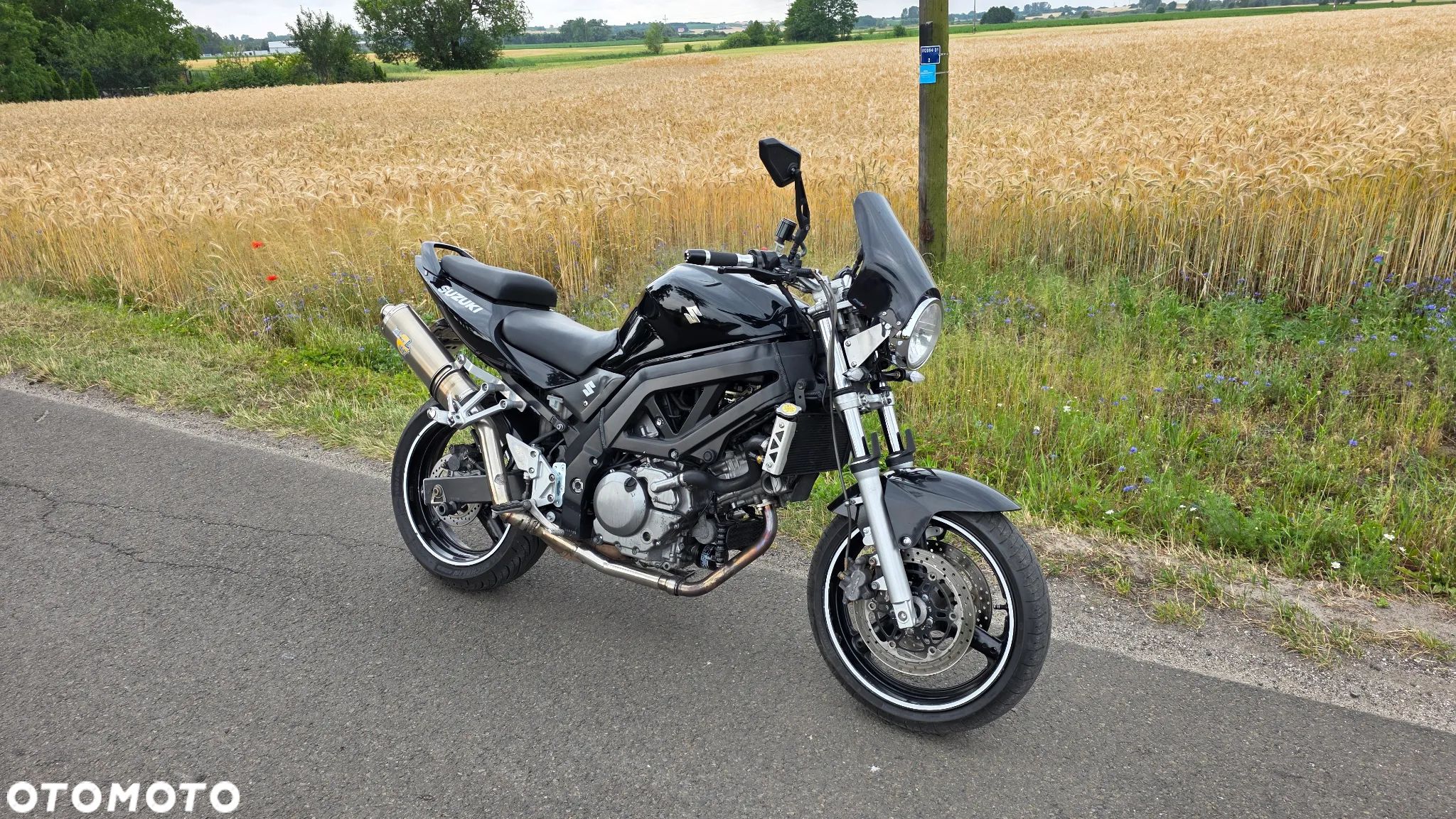 Suzuki SV - 1