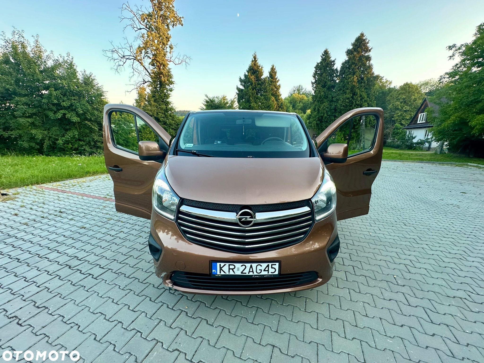 Opel Vivaro - 1