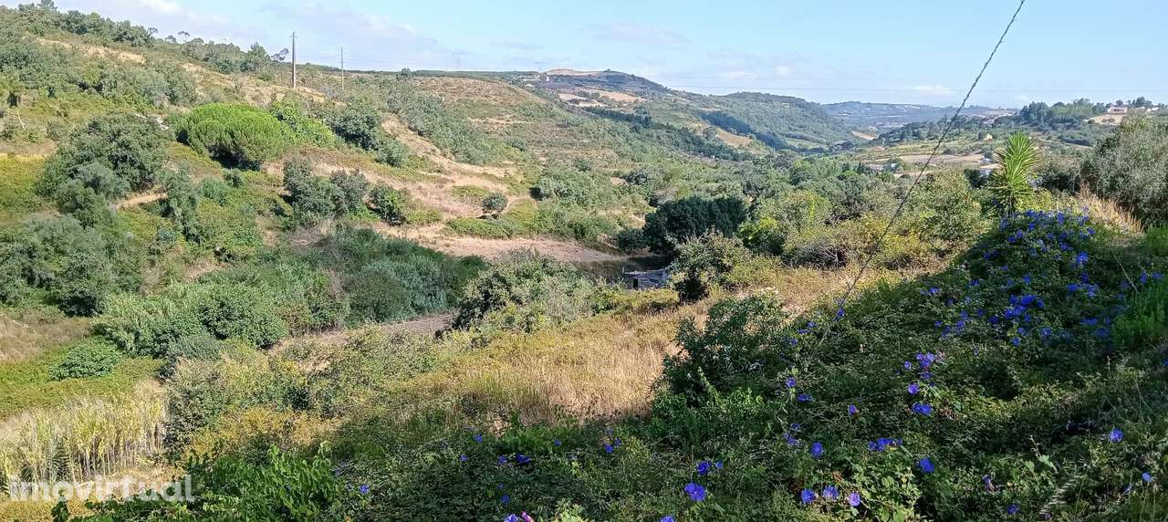 Terreno Rústico em Lisboa, Arruda dos Vinhos - €15.000 / Venda - Grande imagem: 2/5