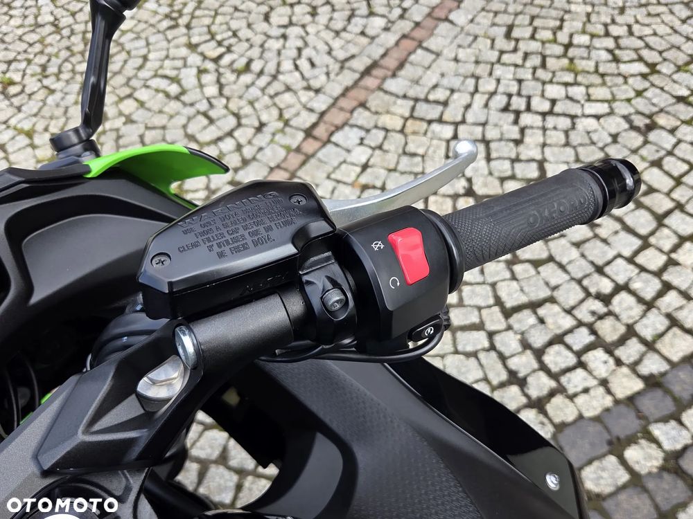 Kawasaki Ninja - 19