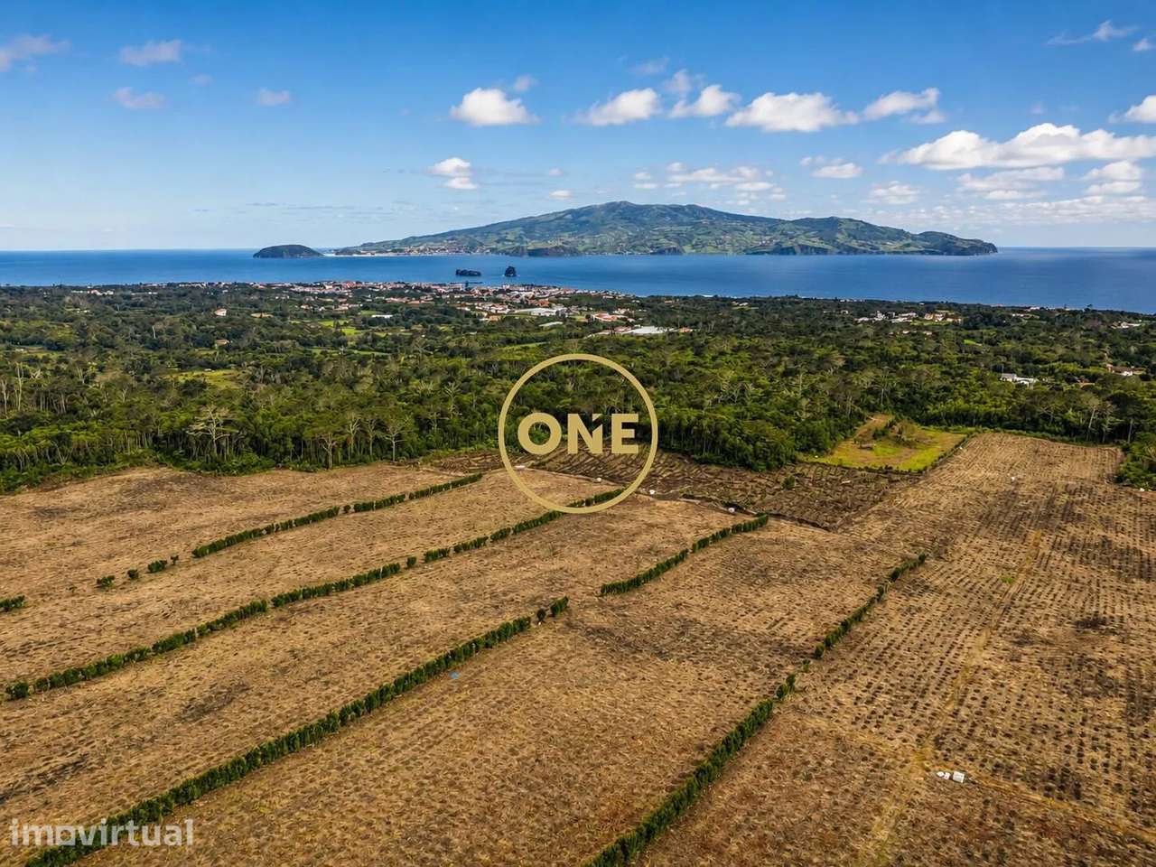 Terreno com Vinha à Venda na Ilha do Pico - Grande imagem: 4/4