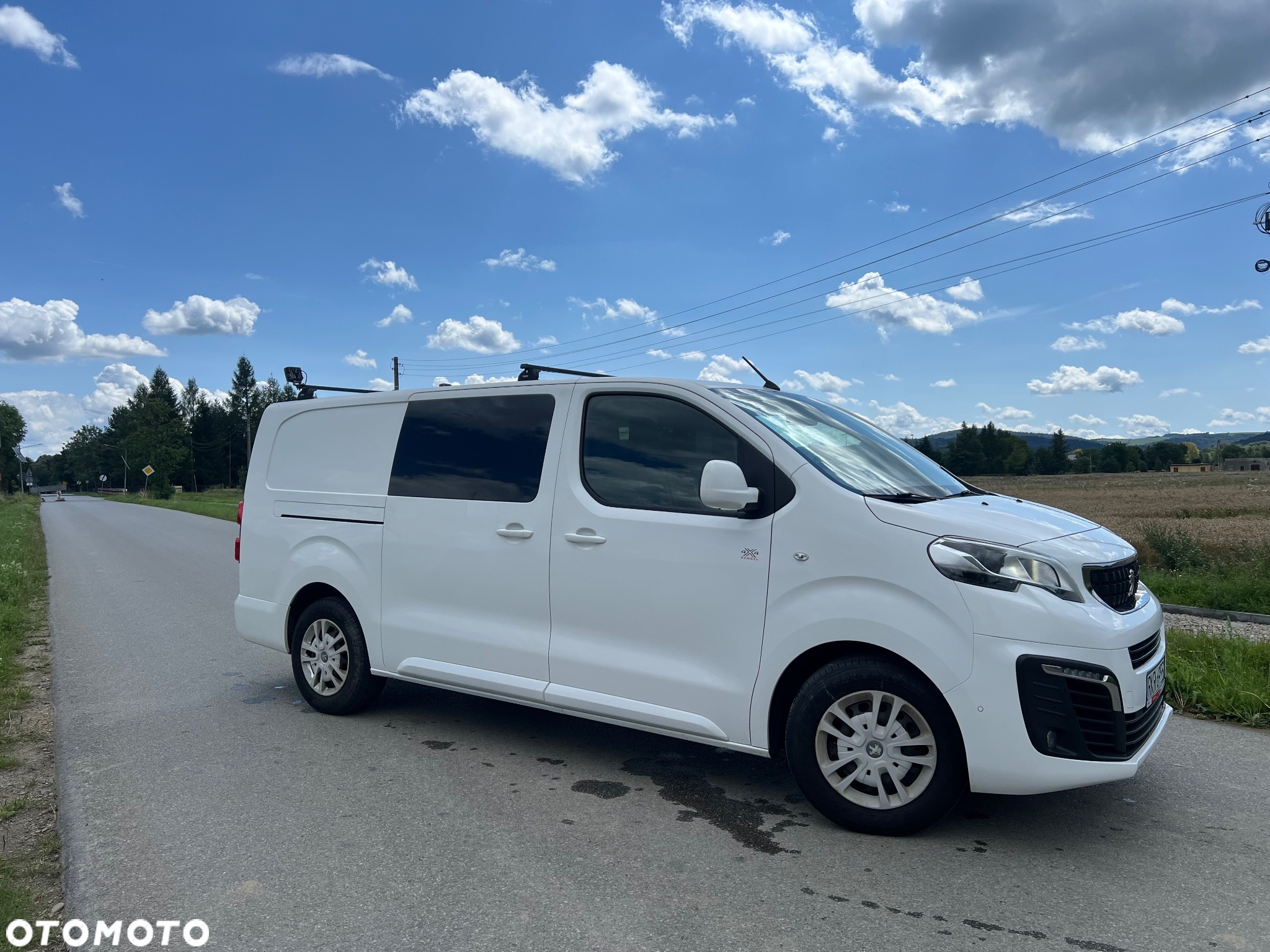 Peugeot EXPERT DANGEL 4x4 - 5